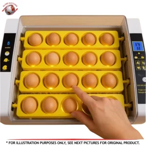 24-Egg Automatic Incubator with Led Display Humidity Control
